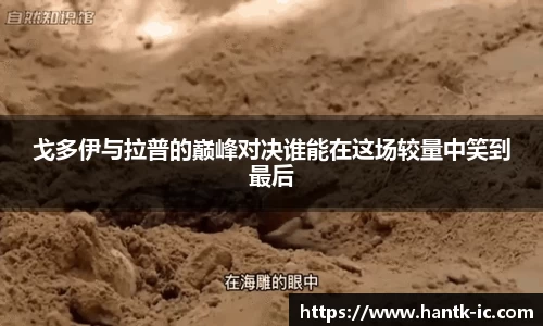 SG胜游官网