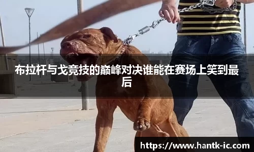 布拉杆与戈竞技的巅峰对决谁能在赛场上笑到最后